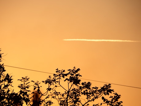 a plane is flying in the sky over some trees