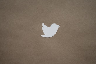 Close-up of a Bird Guardians designer sketching a logo concept.