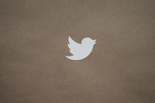 Close-up of a Bird Guardians designer sketching a logo concept.