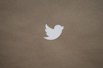 Photo 1694878981815 2b59623479da?q=85&w=340&h=340&fit=crop