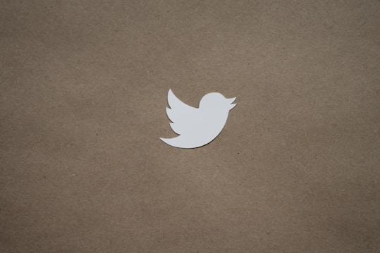 A white silhouette of a bird is centered on a plain brown cardboard background. The bird is rendered in a minimalistic style, likely representing a logo.
