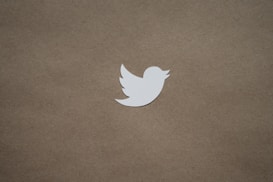 A white silhouette of a bird is centered on a plain brown cardboard background. The bird is rendered in a minimalistic style, likely representing a logo.