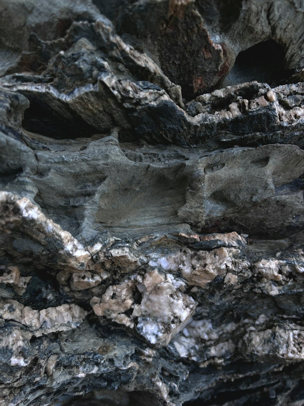 a bird is perched on a rock formation