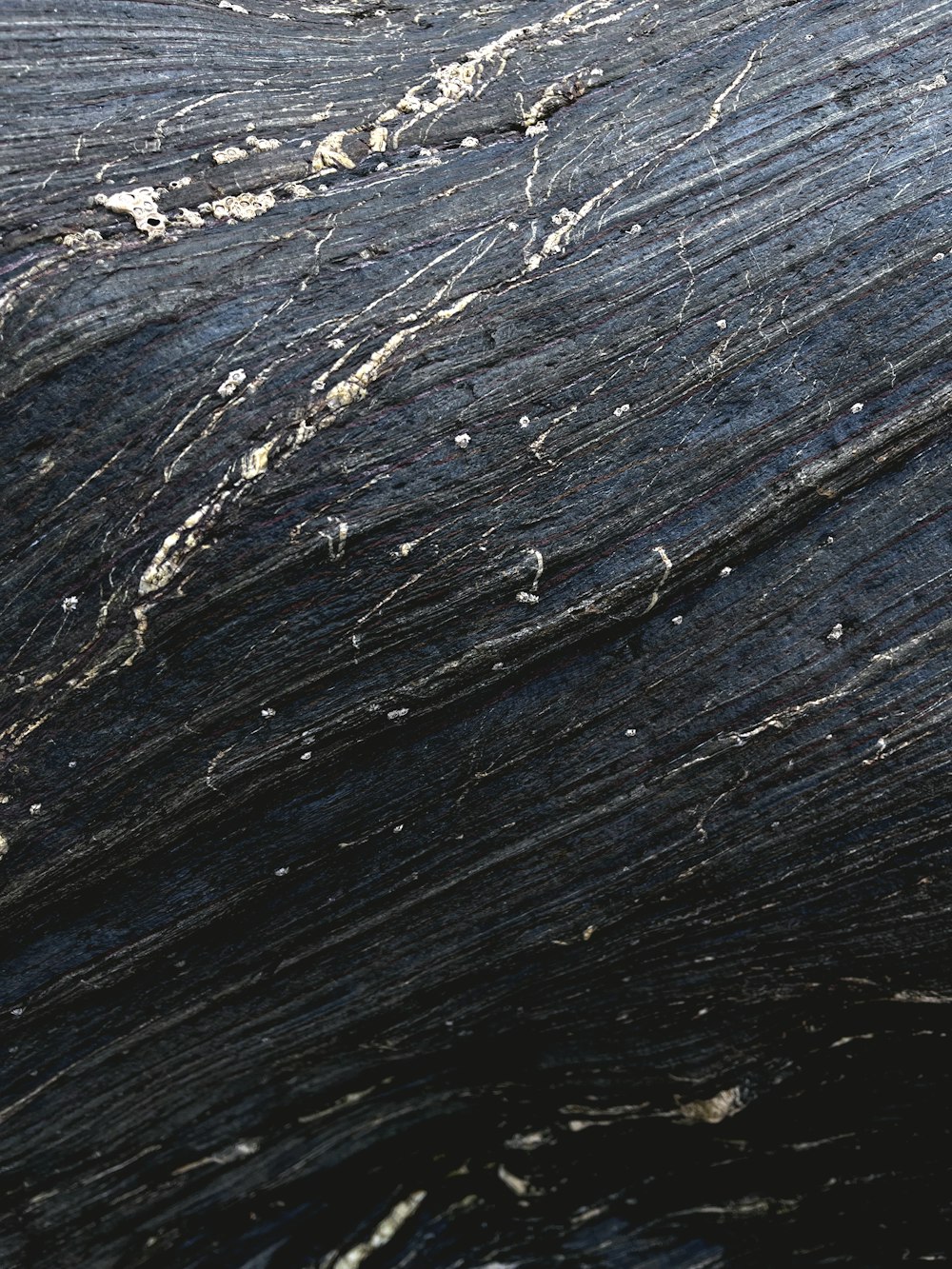 a close up of a black rock with white streaks