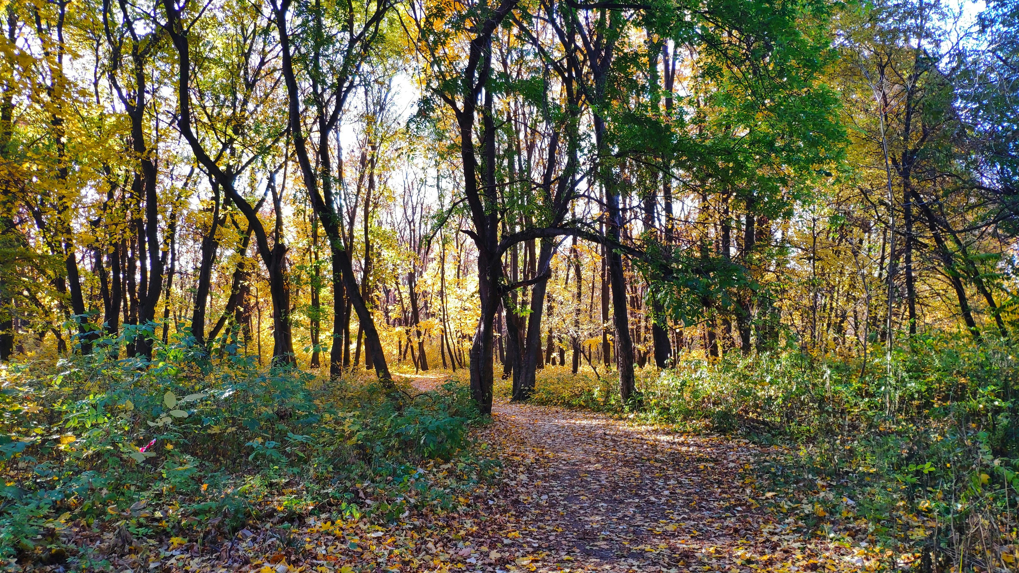 Photo by olesia_libra