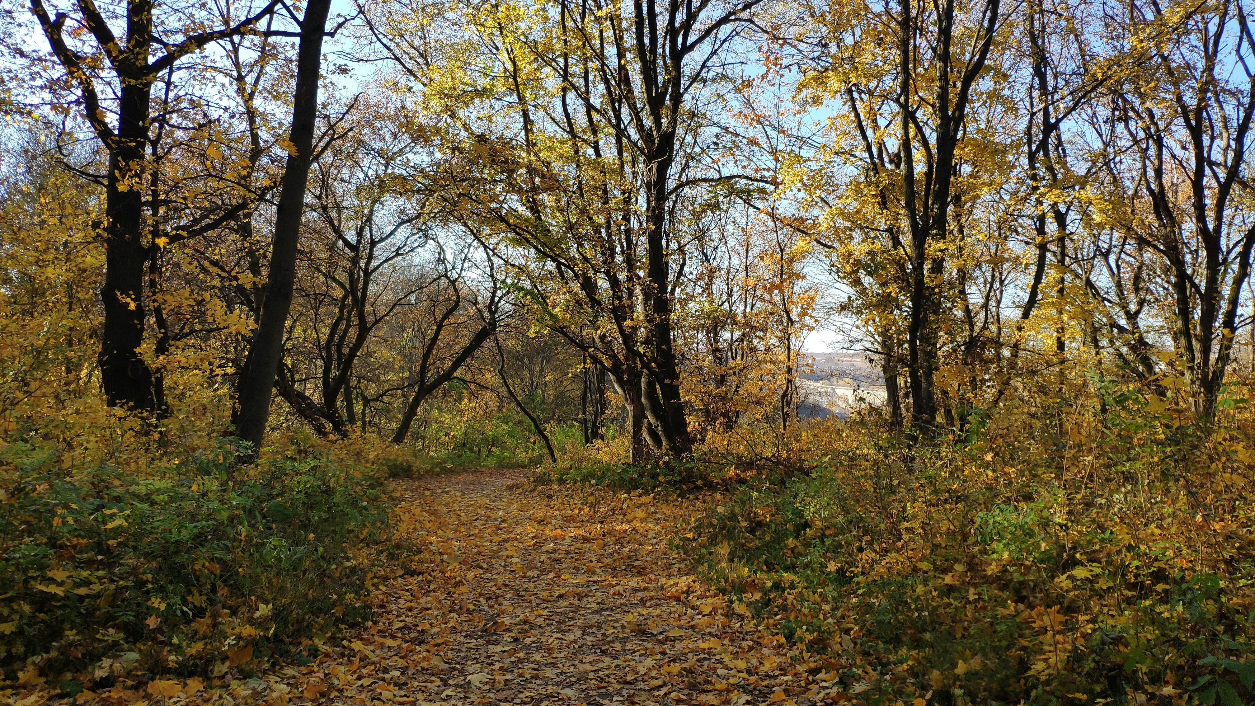 Photo by olesia_libra