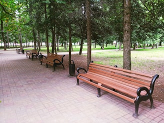 A serene park pathway lined with wooden benches and tall green trees. The benches are evenly spaced and have wrought iron-style armrests, with a paved path leading through a lush, forested area.