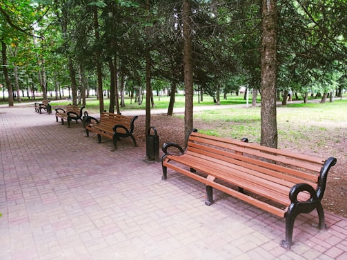 A serene park pathway lined with wooden benches and tall green trees. The benches are evenly spaced and have wrought iron-style armrests, with a paved path leading through a lush, forested area.