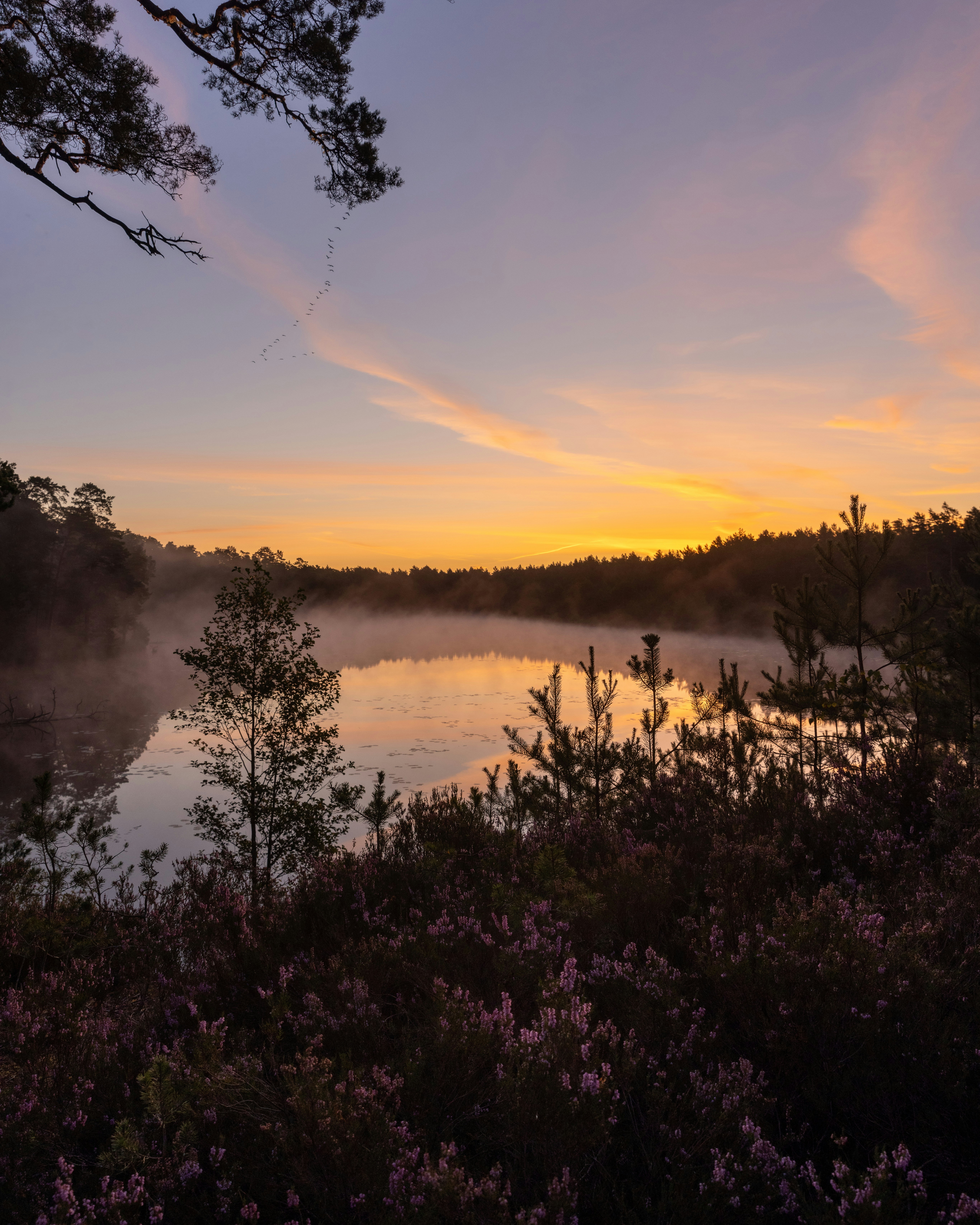 Photo by armandsbrants