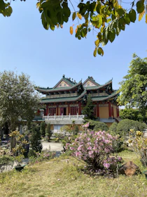 A serene temple scene framed by vibrant tropical flowers under a clear blue sky.
