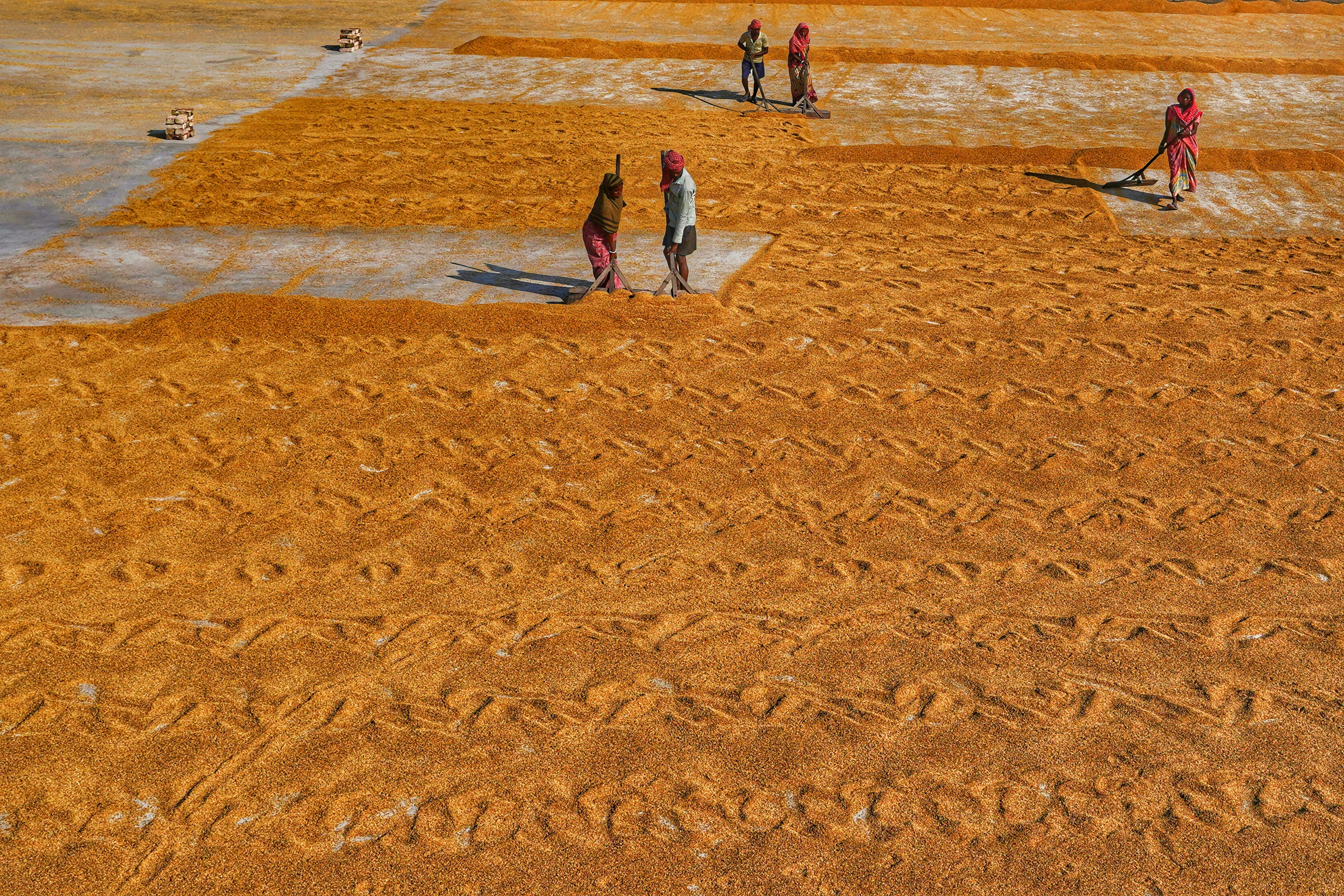 Photo by dibakar16roy