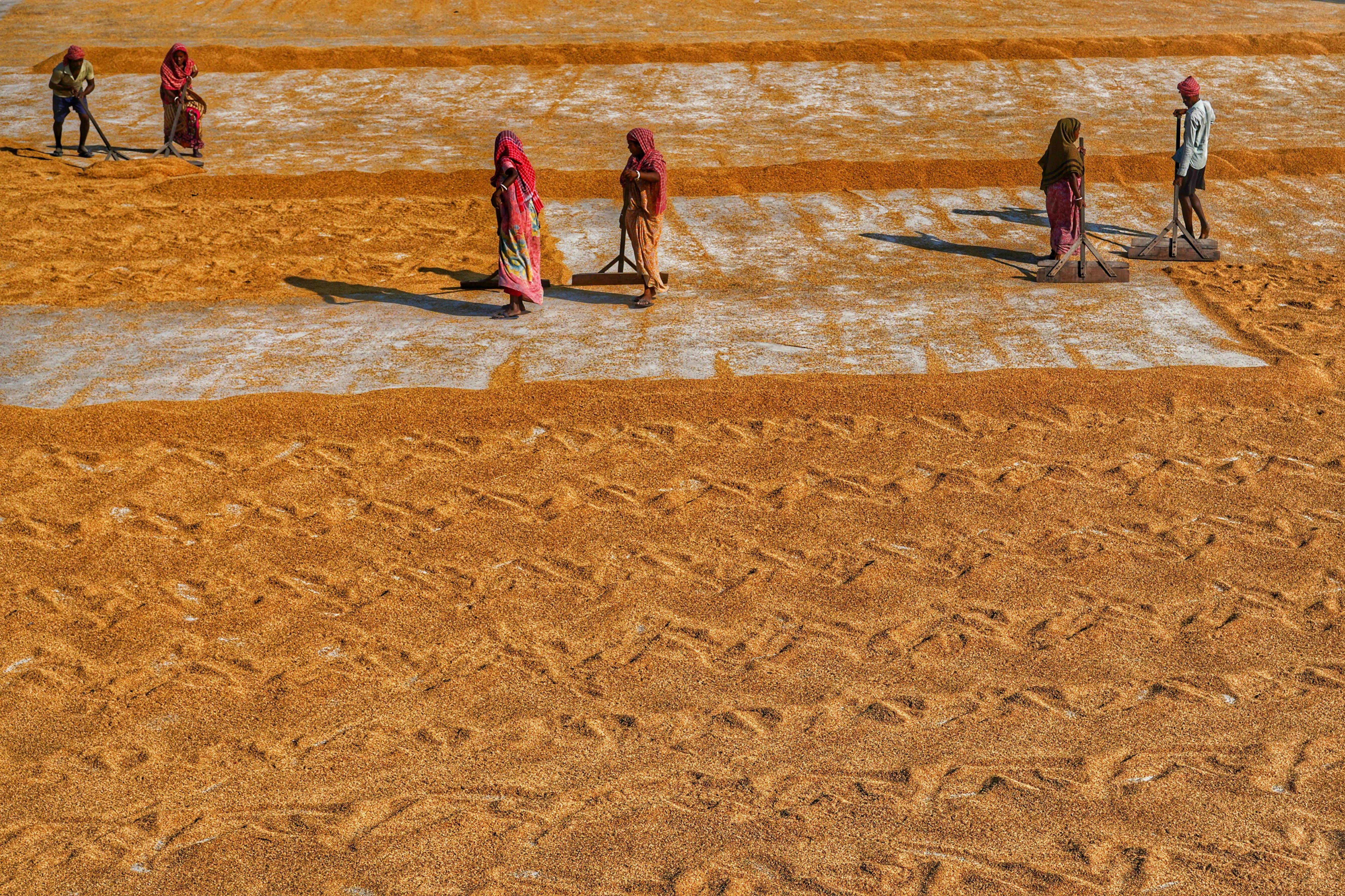 Photo by dibakar16roy