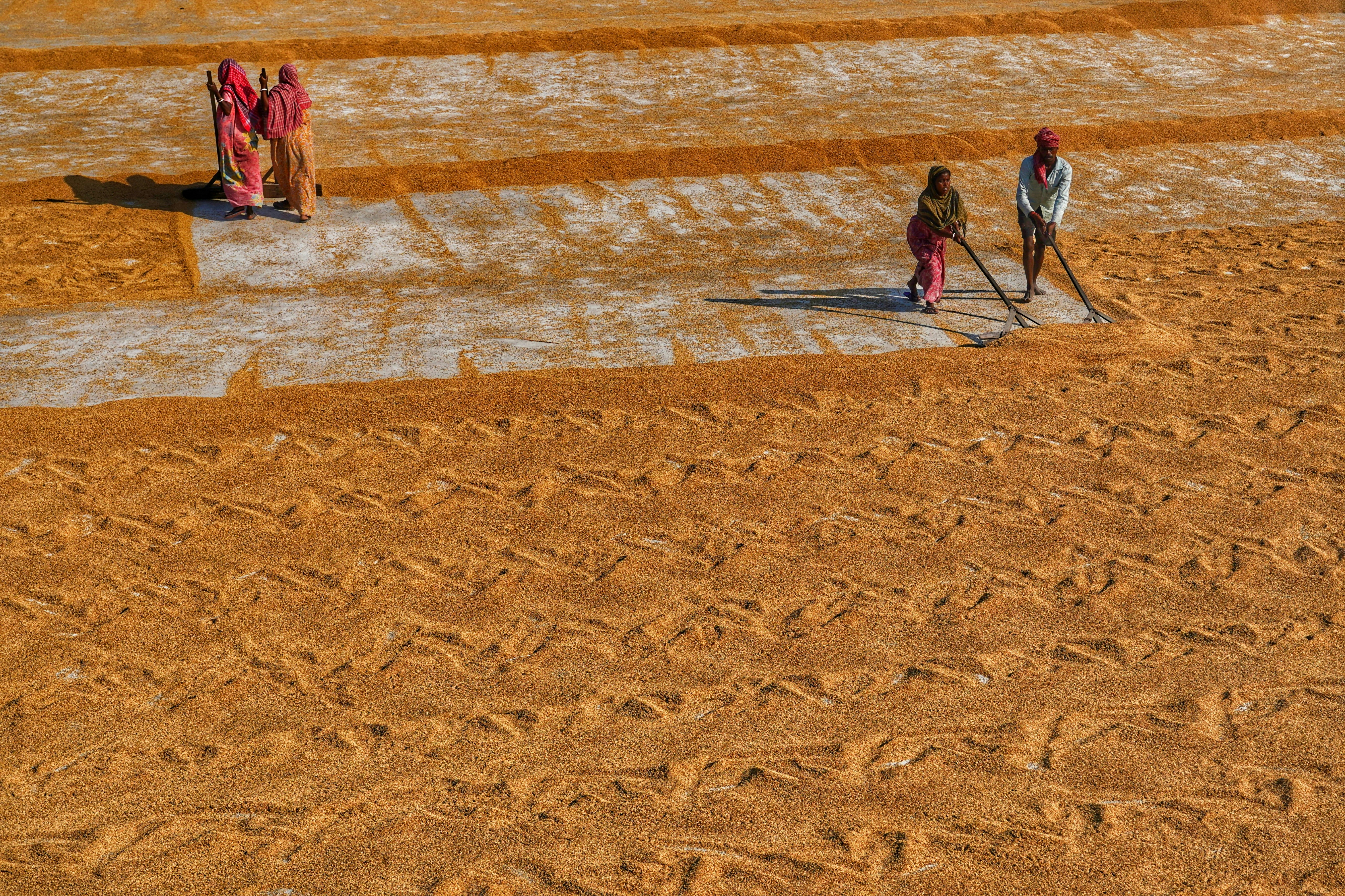 Photo by dibakar16roy