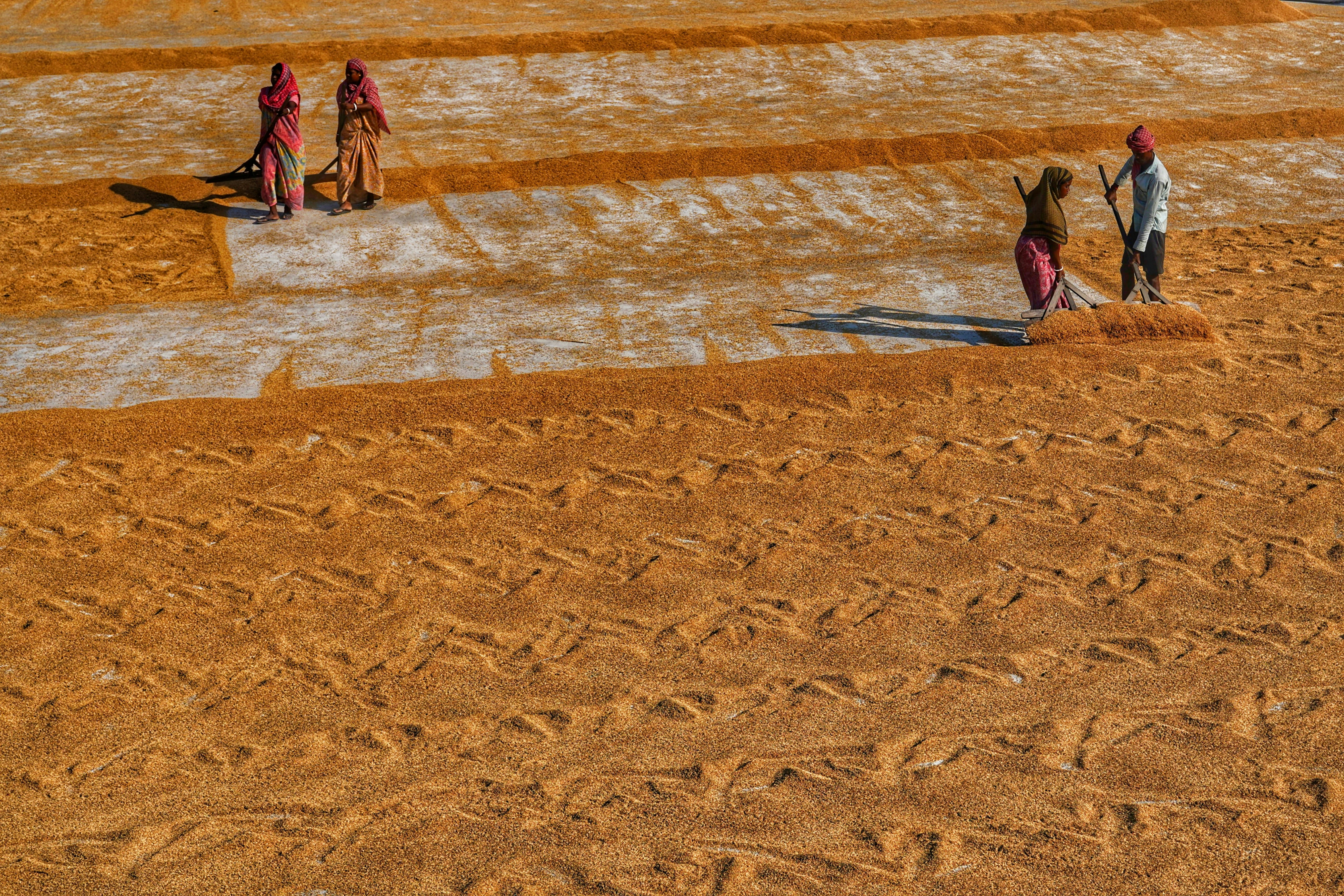 Photo by dibakar16roy