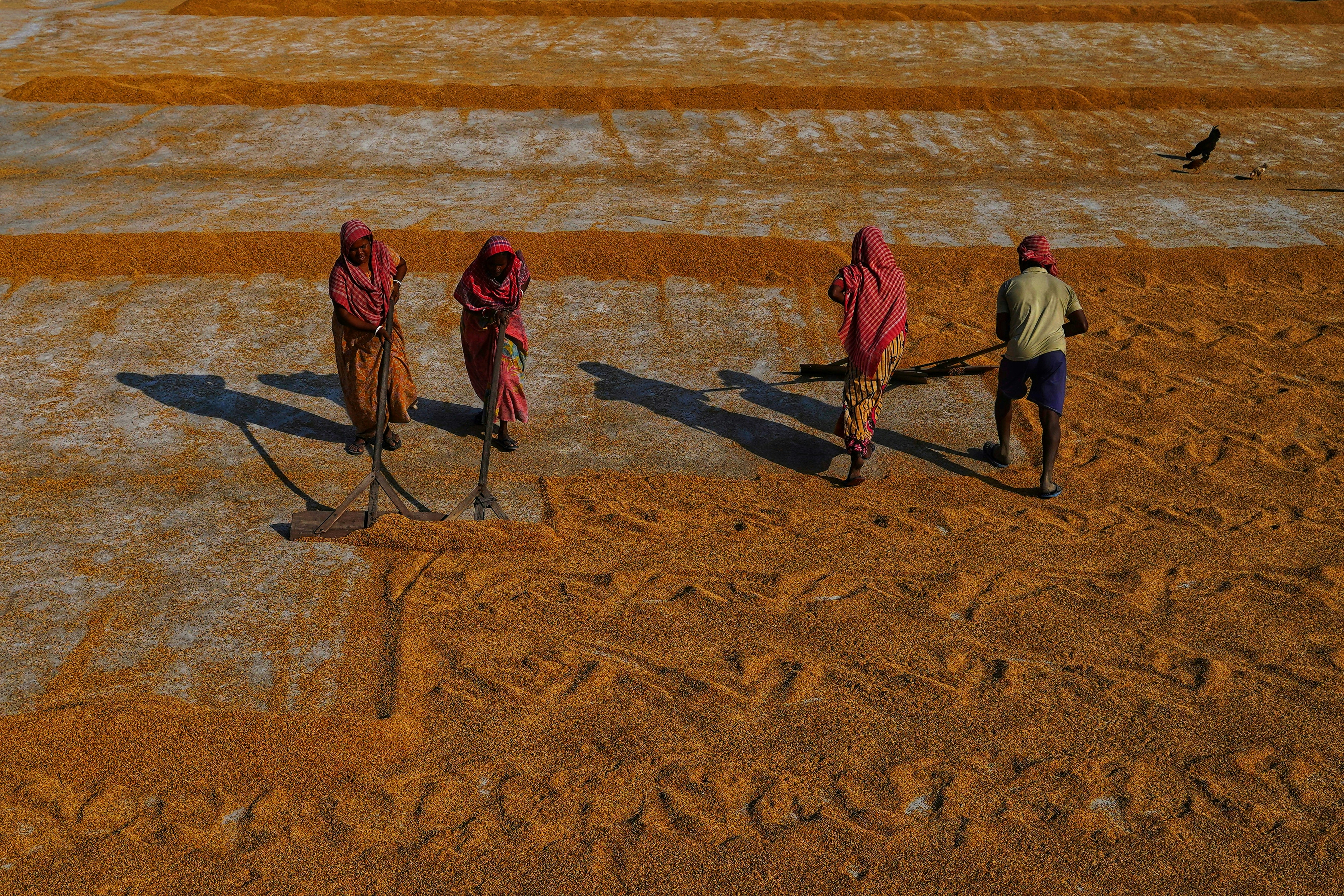 Photo by dibakar16roy