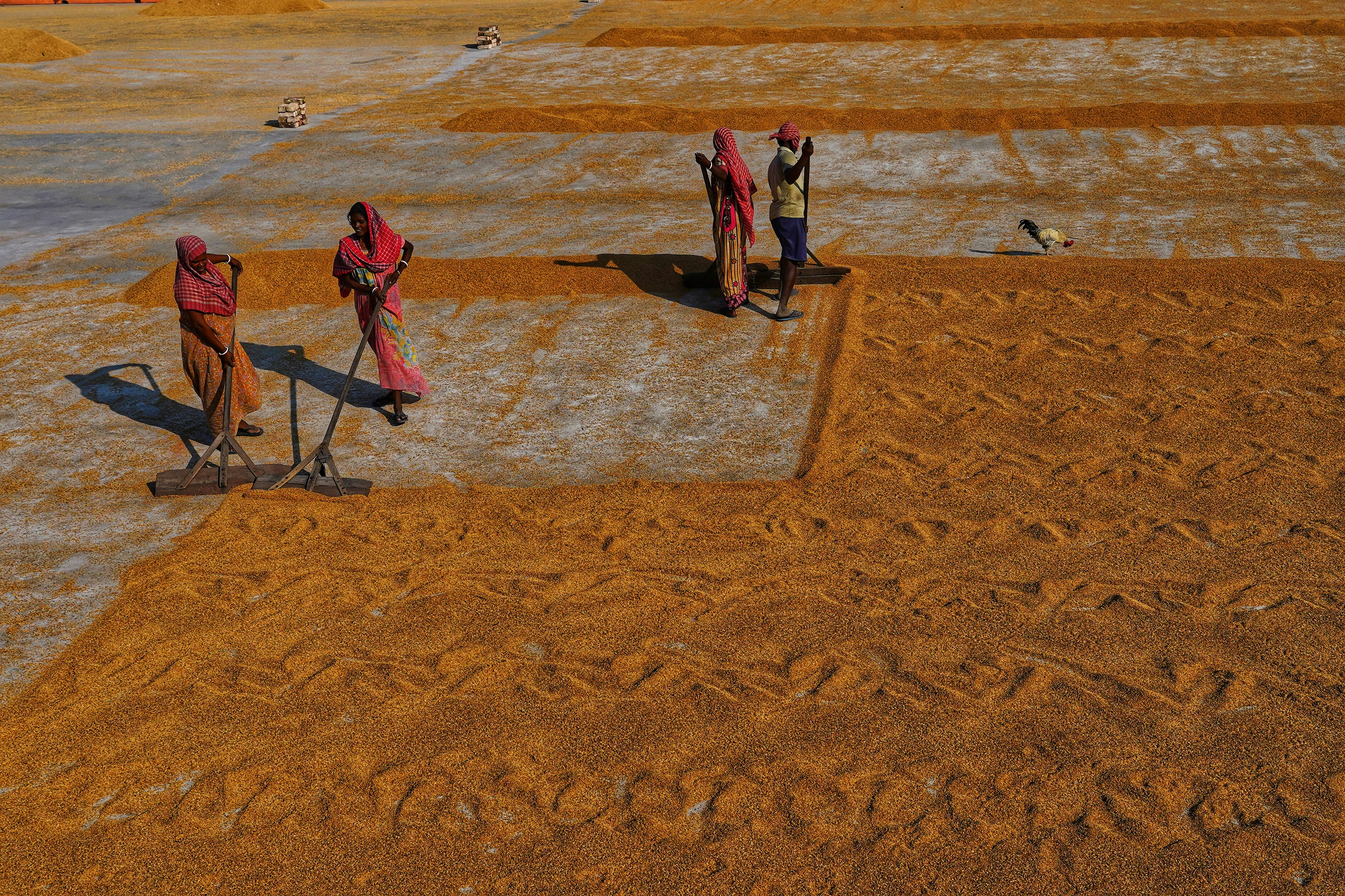 Photo by dibakar16roy