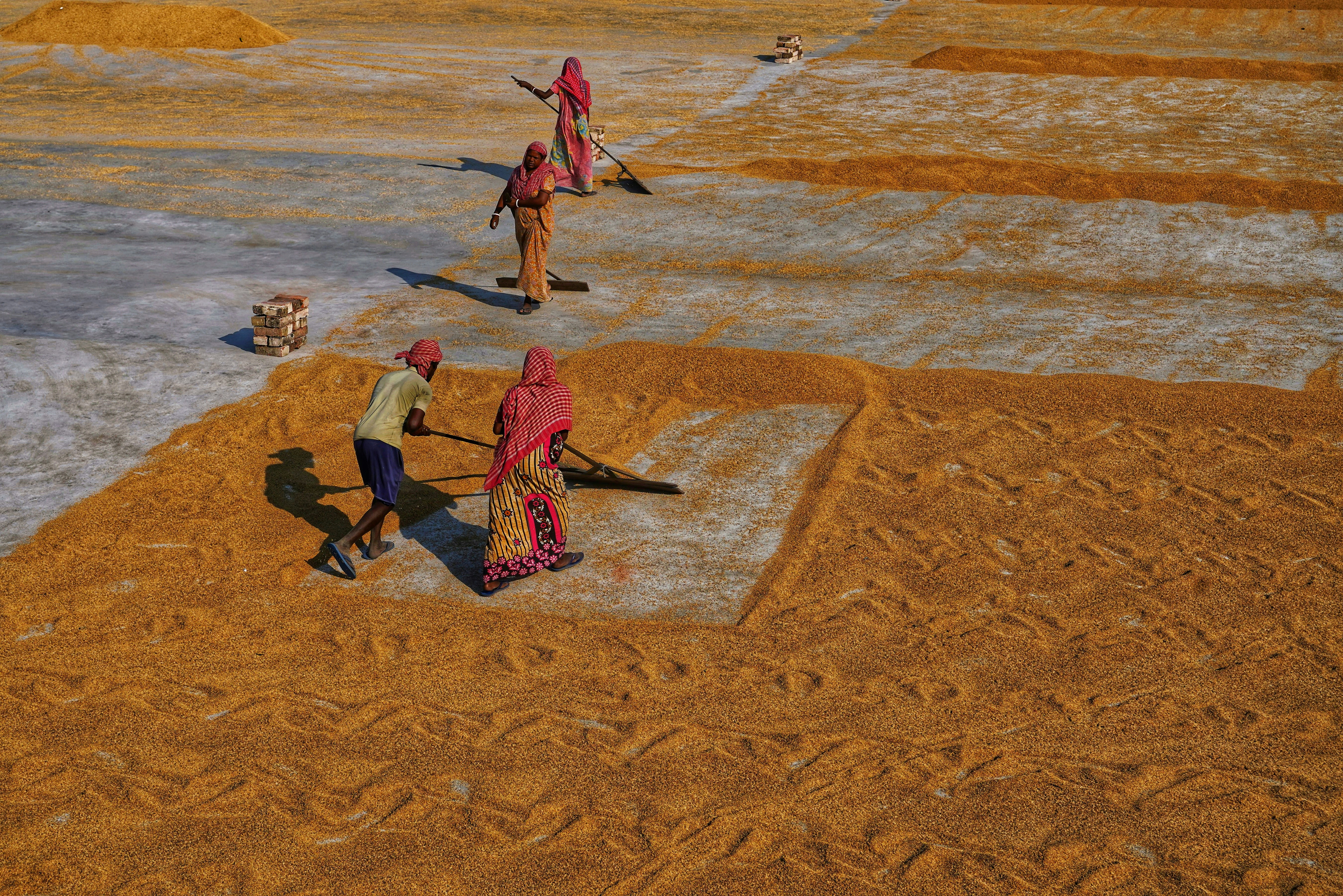 Photo by dibakar16roy