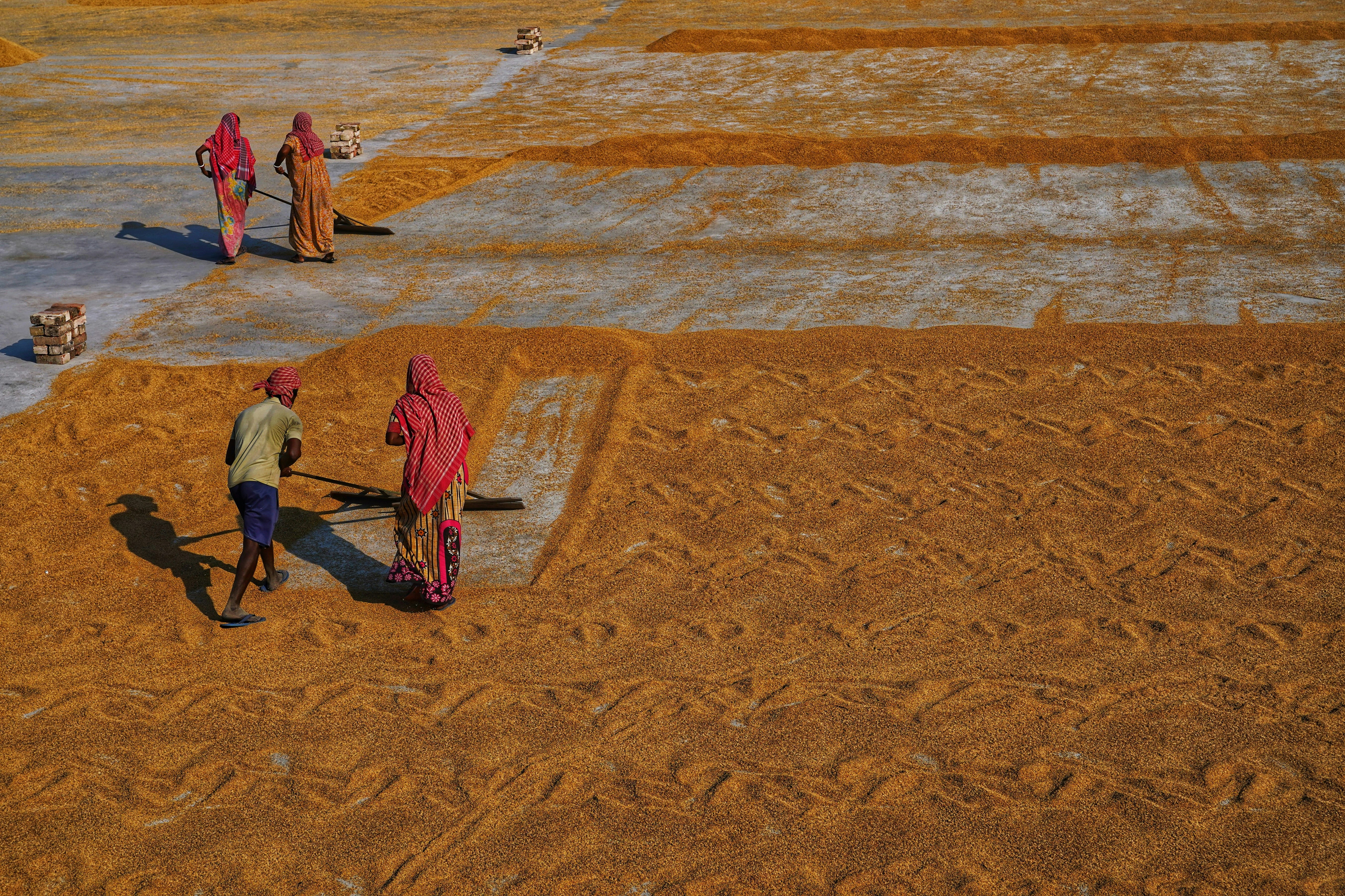 Photo by dibakar16roy