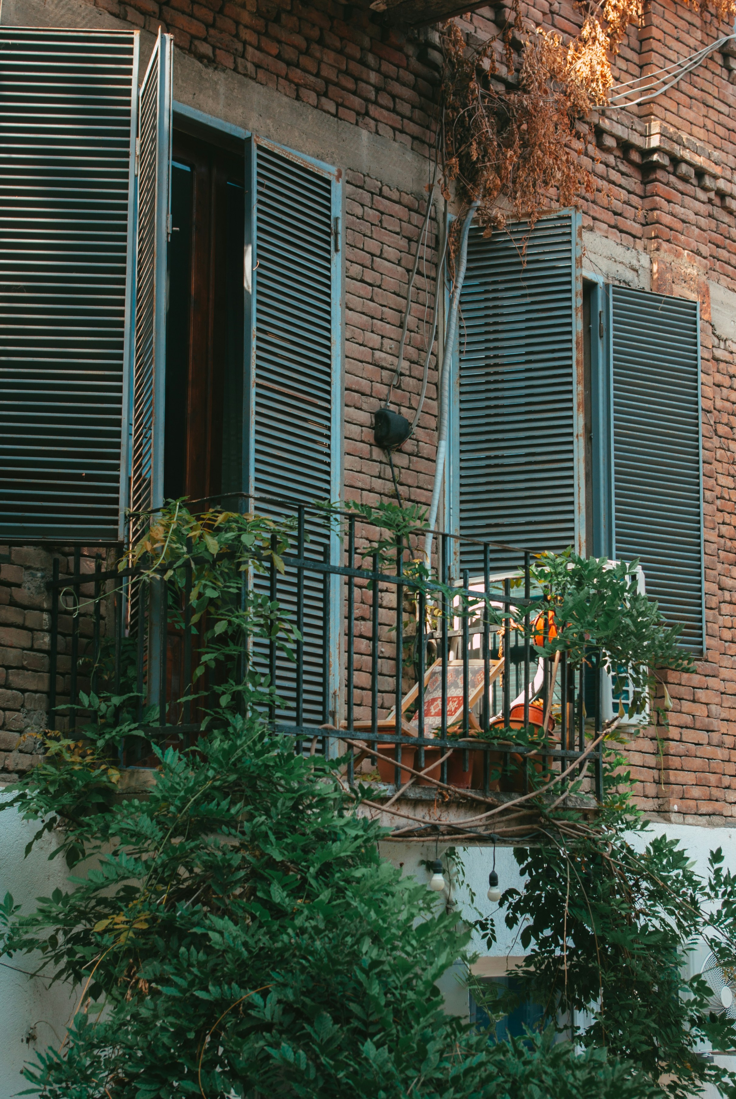 Photo by moonmoons_days