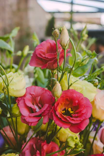 A vibrant flor bouquet featuring rich reds and soft pinks against a blurred garden background.