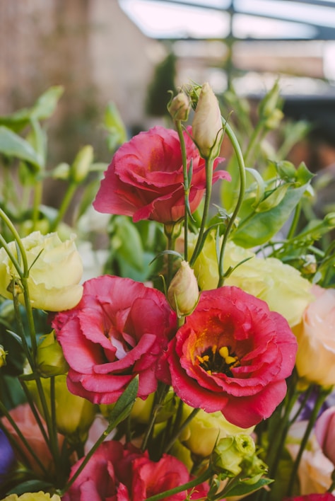 A vibrant bouquet bursting with fresh seasonal flowers against a soft pastel background.