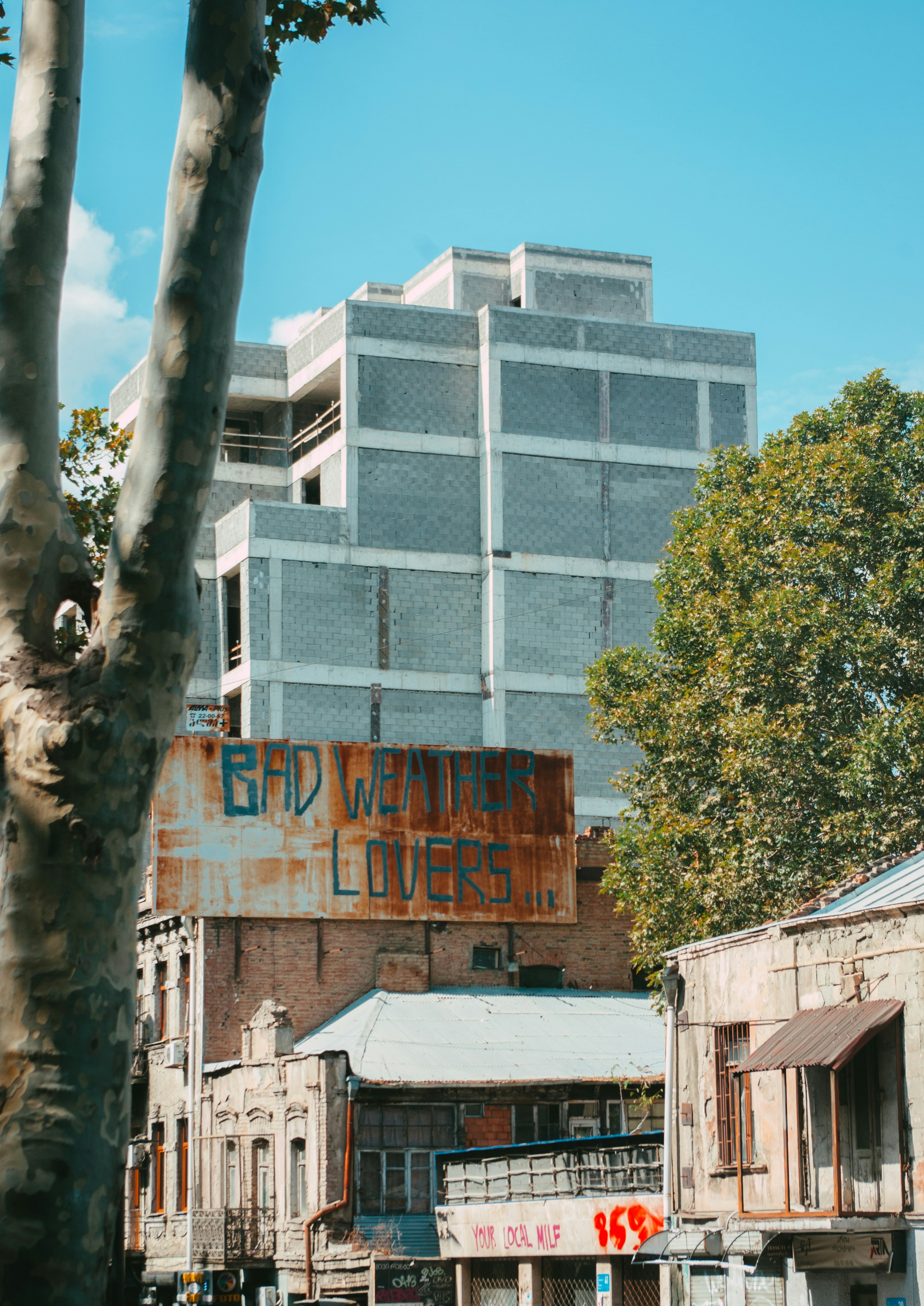 Photo by moonmoons_days