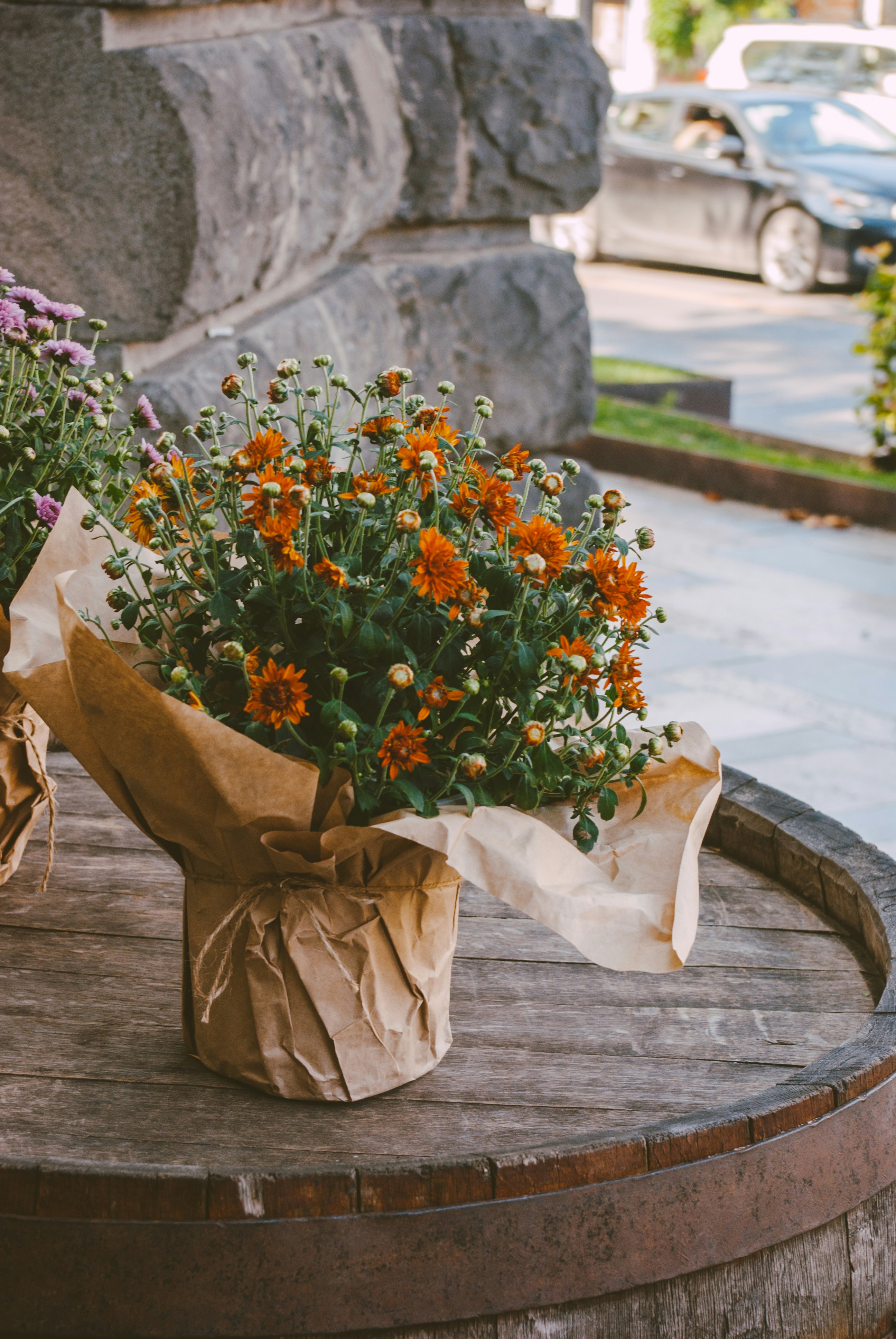 Photo by moonmoons_days