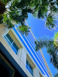 A panoramic view of a modern Bali commercial building under construction, surrounded by lush greenery.