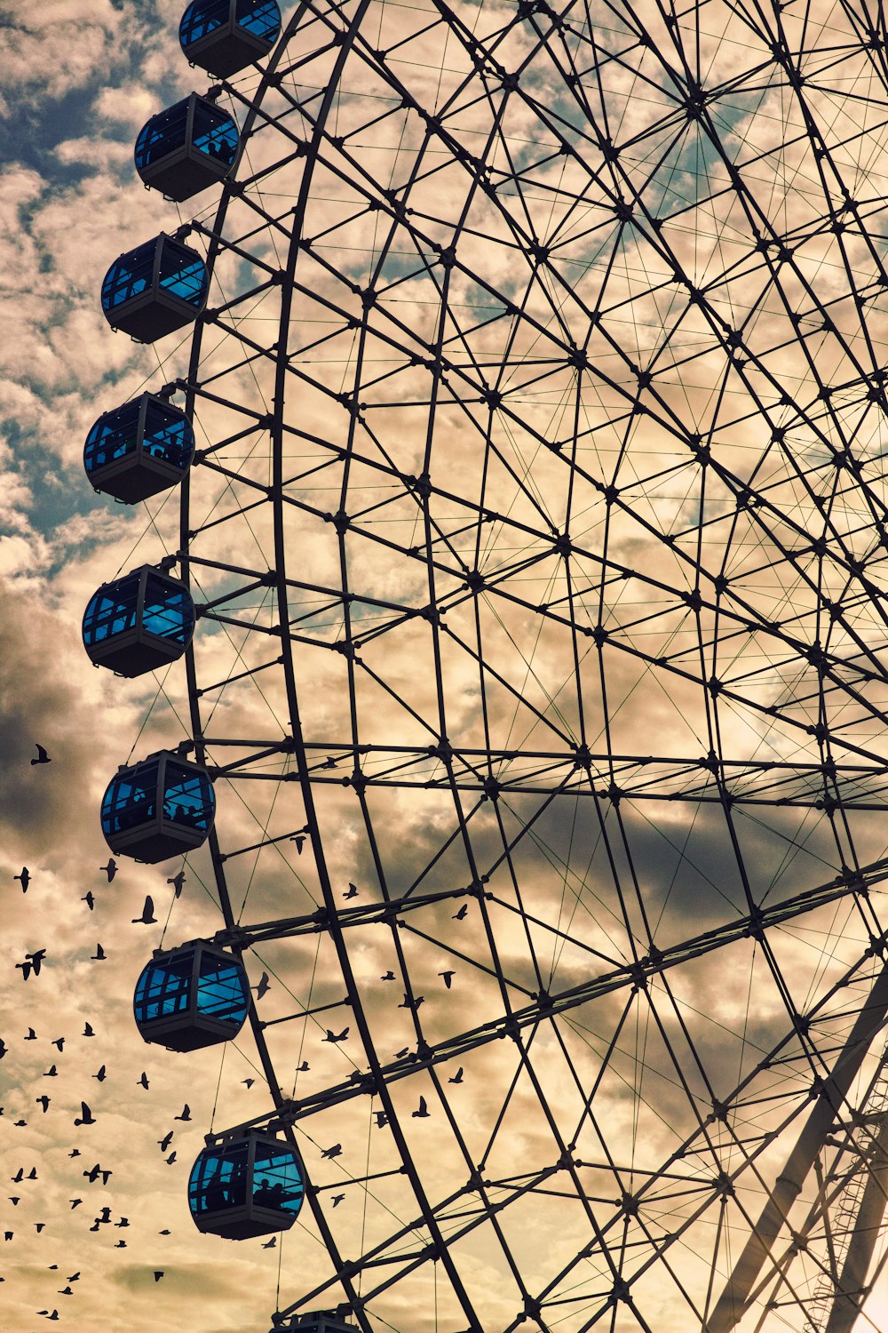 a ferris wheel with birds flying around it