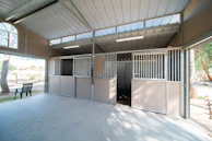 Inside view of a clean, well-organized pet transport van with multiple safe compartments.