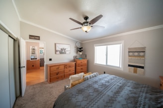 A cozy bedroom with a ceiling fan features a neatly made bed with decorative pillows and a patterned comforter. A wooden dresser stands against the wall, topped with items including a round decorative piece. Above the dresser hangs a framed picture of a cow. A woven wall hanging decorates the wall near a window with blinds partially open, allowing light to fill the room. The door is open, leading to an adjoining hallway or another room.