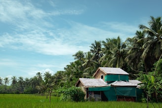 A charming rustic finca surrounded by lush greenery under a clear blue sky.