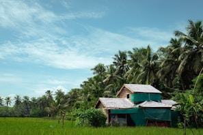 Traditional hacienda building surrounded by vibrant greenery under a clear blue sky