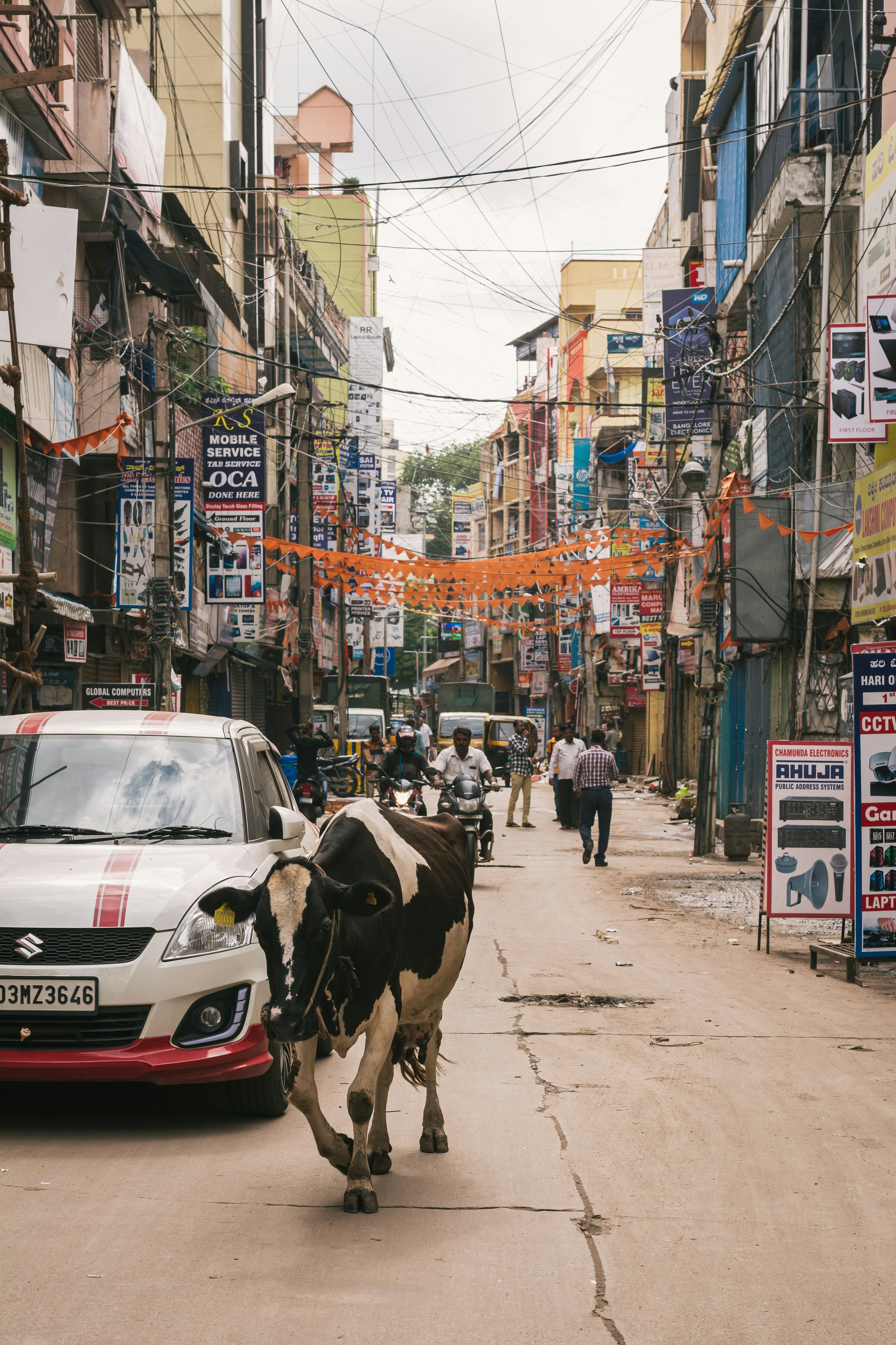 a cow walking down a street next to a car