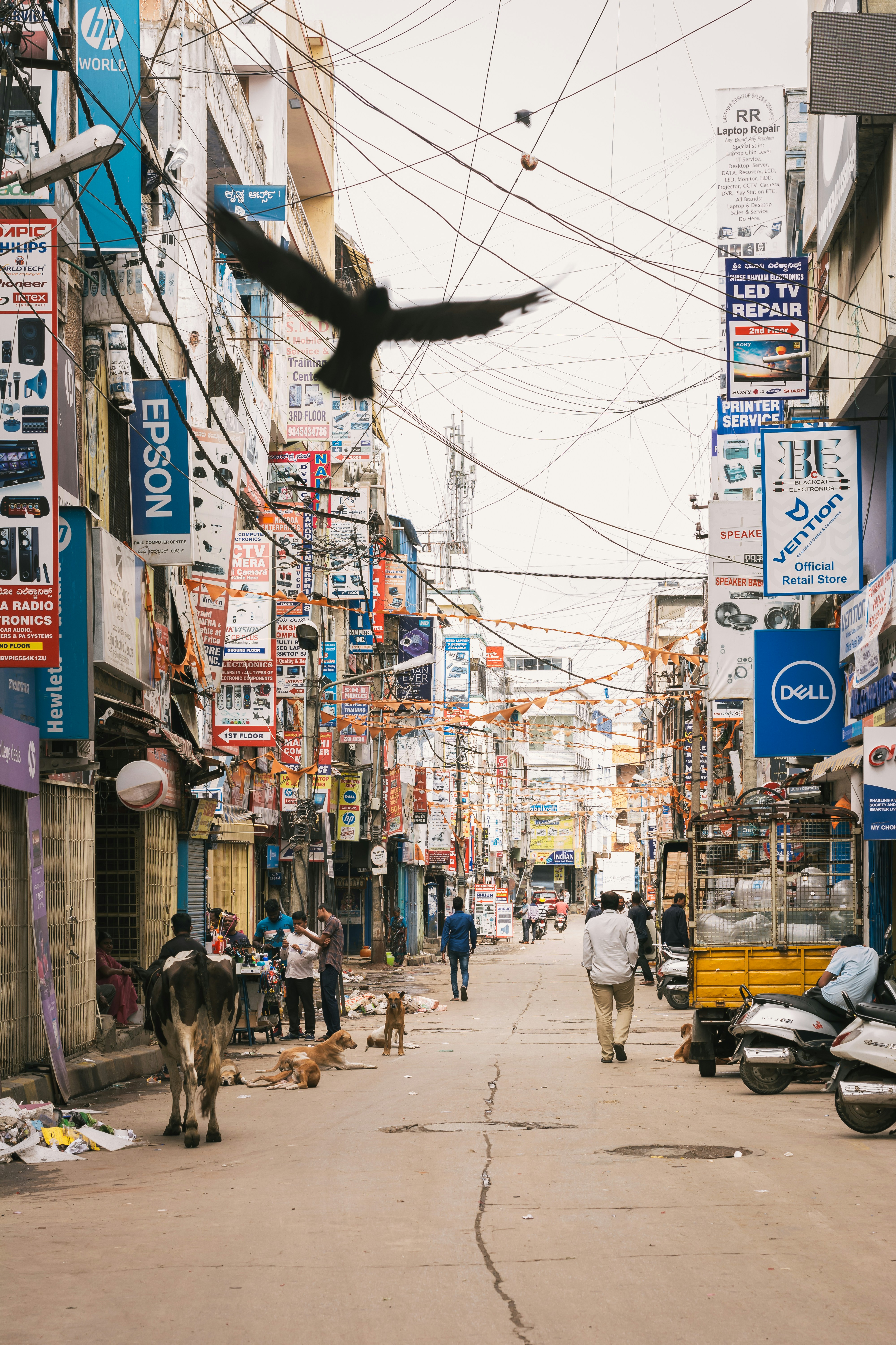 a bird flying over a street with people and a cow