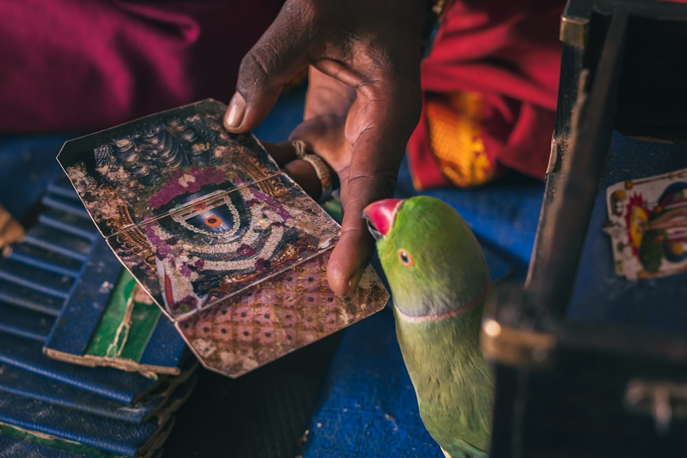 a person holding a card with a bird on it