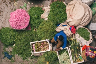 An overhead view of a marketplace scene with an assortment of greenery, flowers, and produce. A person is sitting among large piles of herbs and sacks filled with leaves. Pink flowers are arranged prominently, and there are containers with lotus buds. The scene is vibrant and earthy, with a focus on natural produce.
