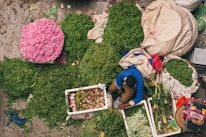 An overhead view of a marketplace scene with an assortment of greenery, flowers, and produce. A person is sitting among large piles of herbs and sacks filled with leaves. Pink flowers are arranged prominently, and there are containers with lotus buds. The scene is vibrant and earthy, with a focus on natural produce.