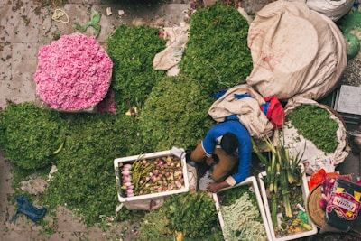 An overhead view of a marketplace scene with an assortment of greenery, flowers, and produce. A person is sitting among large piles of herbs and sacks filled with leaves. Pink flowers are arranged prominently, and there are containers with lotus buds. The scene is vibrant and earthy, with a focus on natural produce.