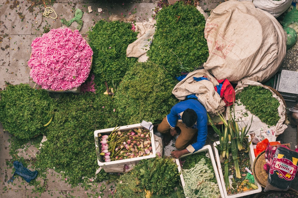 Un homme travaille dans un marché aux légumes
