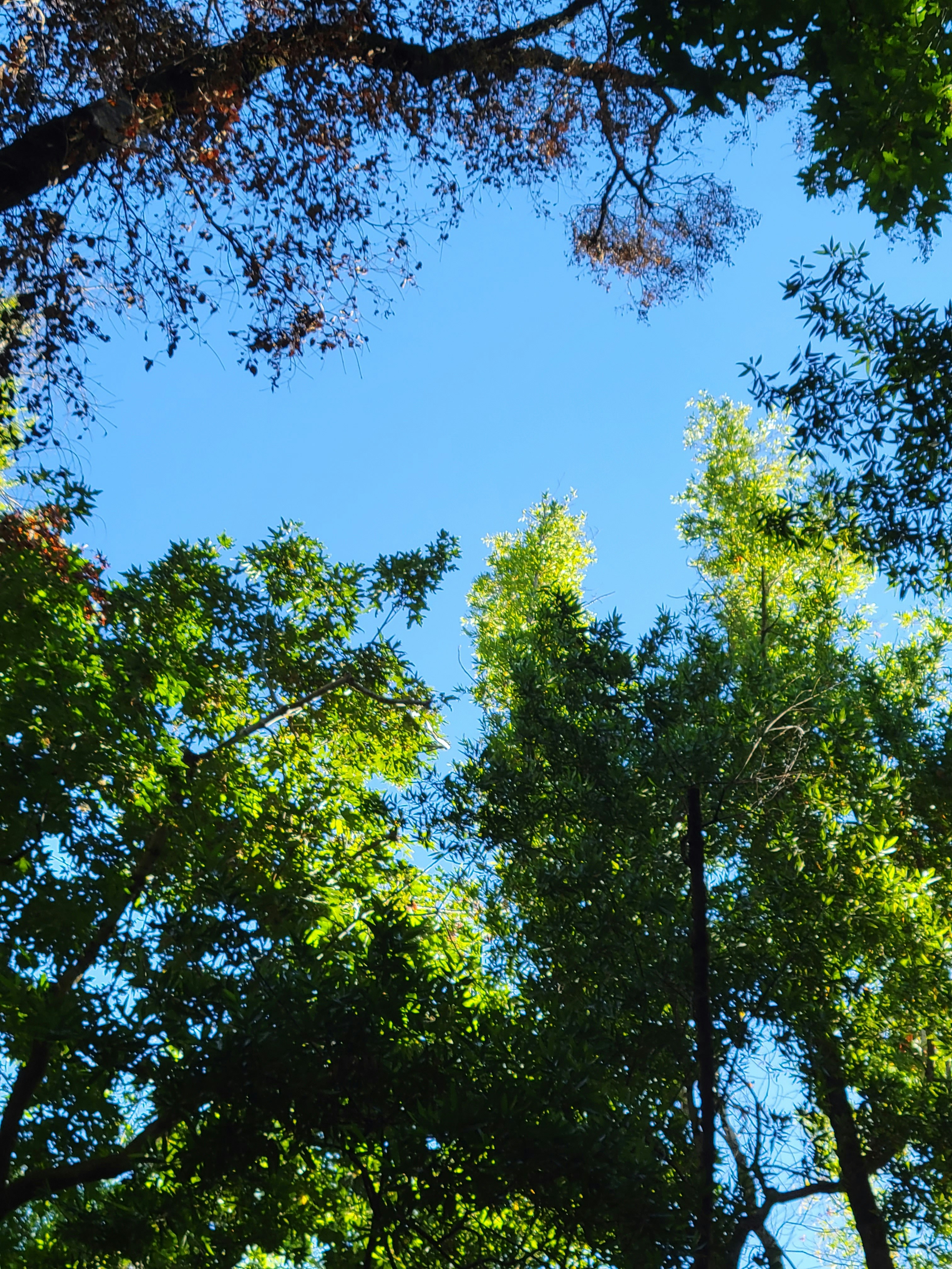 Photo by haripriya_k