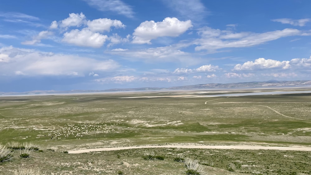 a large open field with a sky background