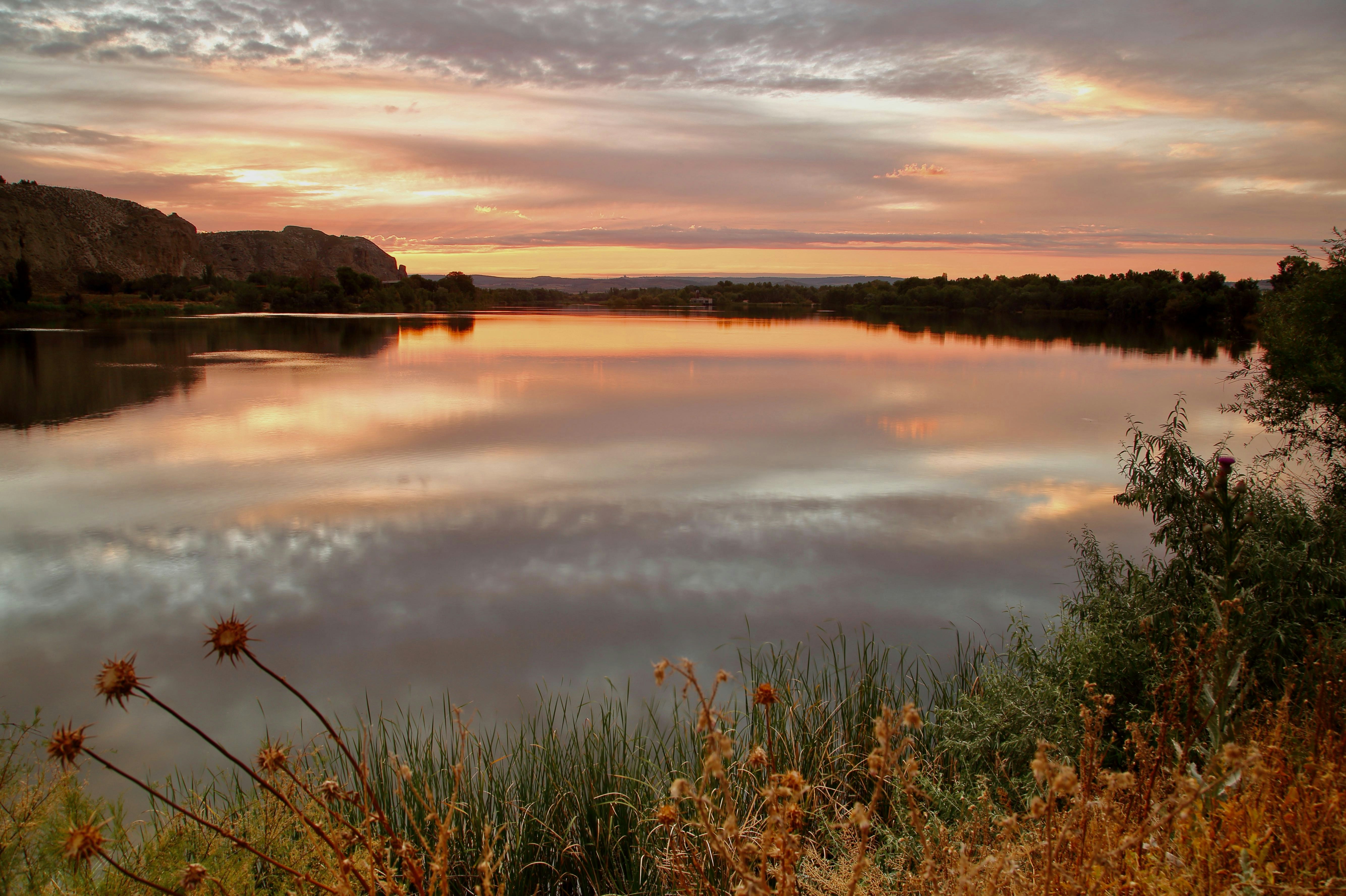 Photo by natanael_laguna