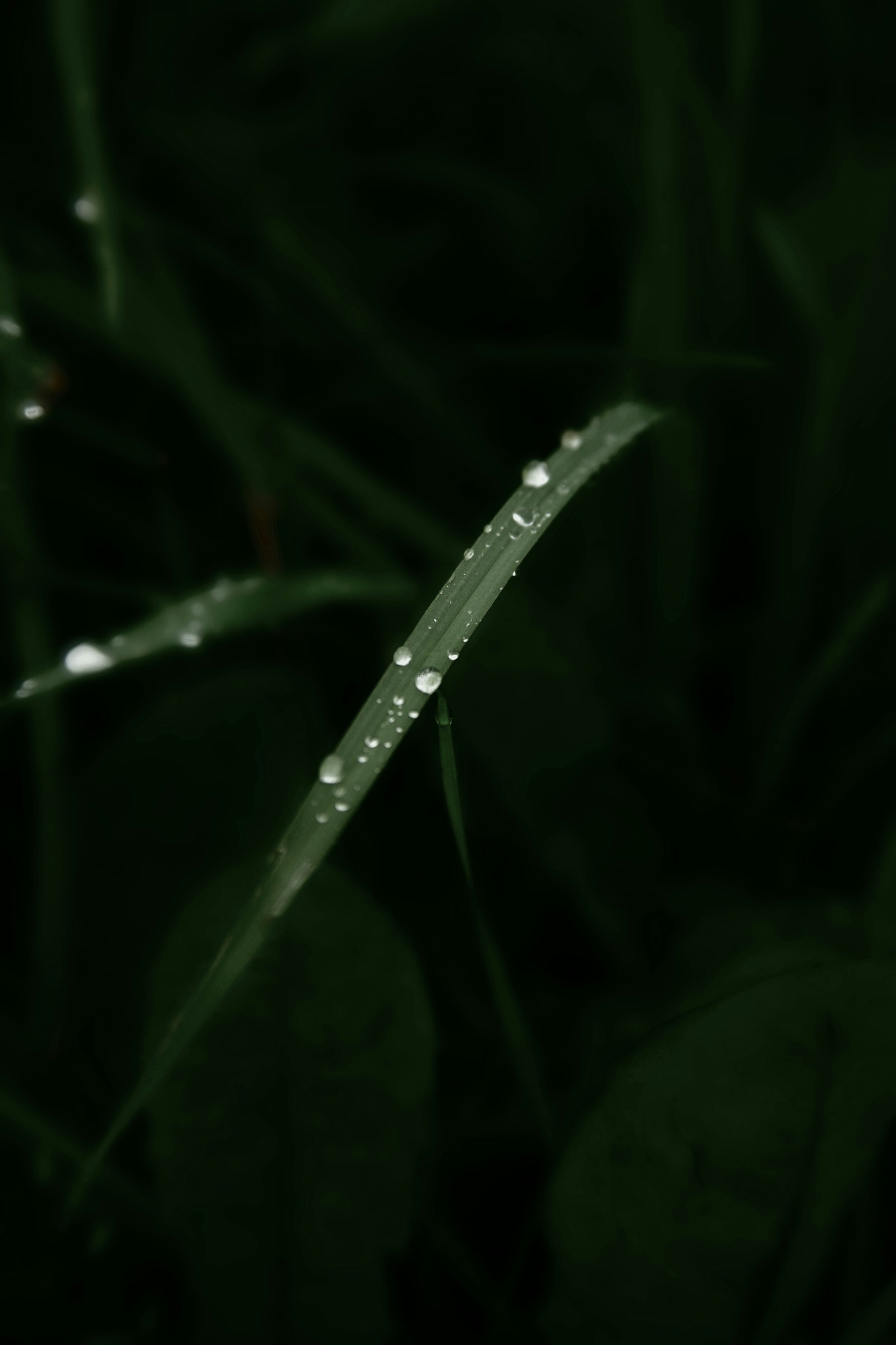 Photo by kristinokarlsen