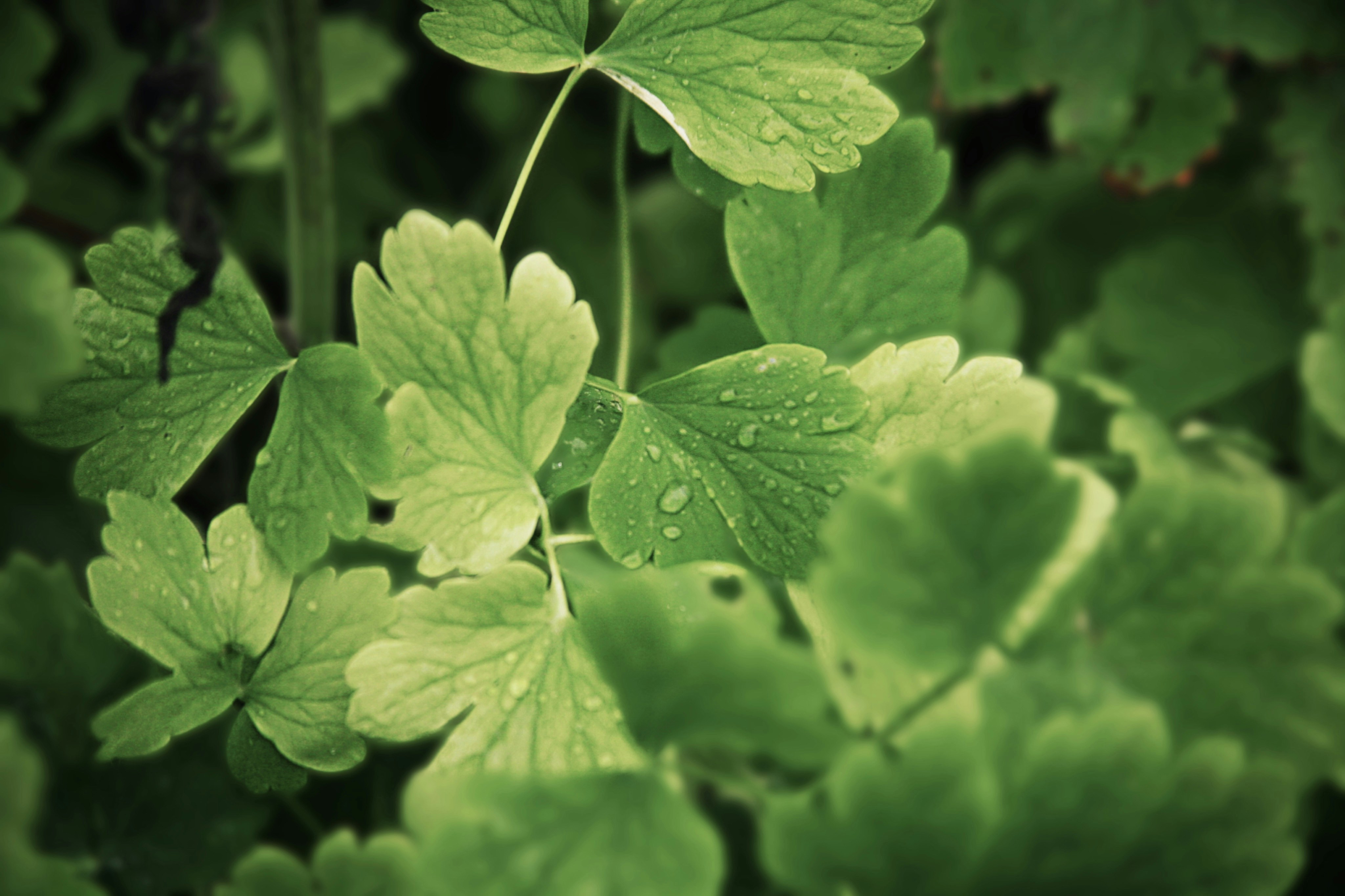 Photo by kristinokarlsen