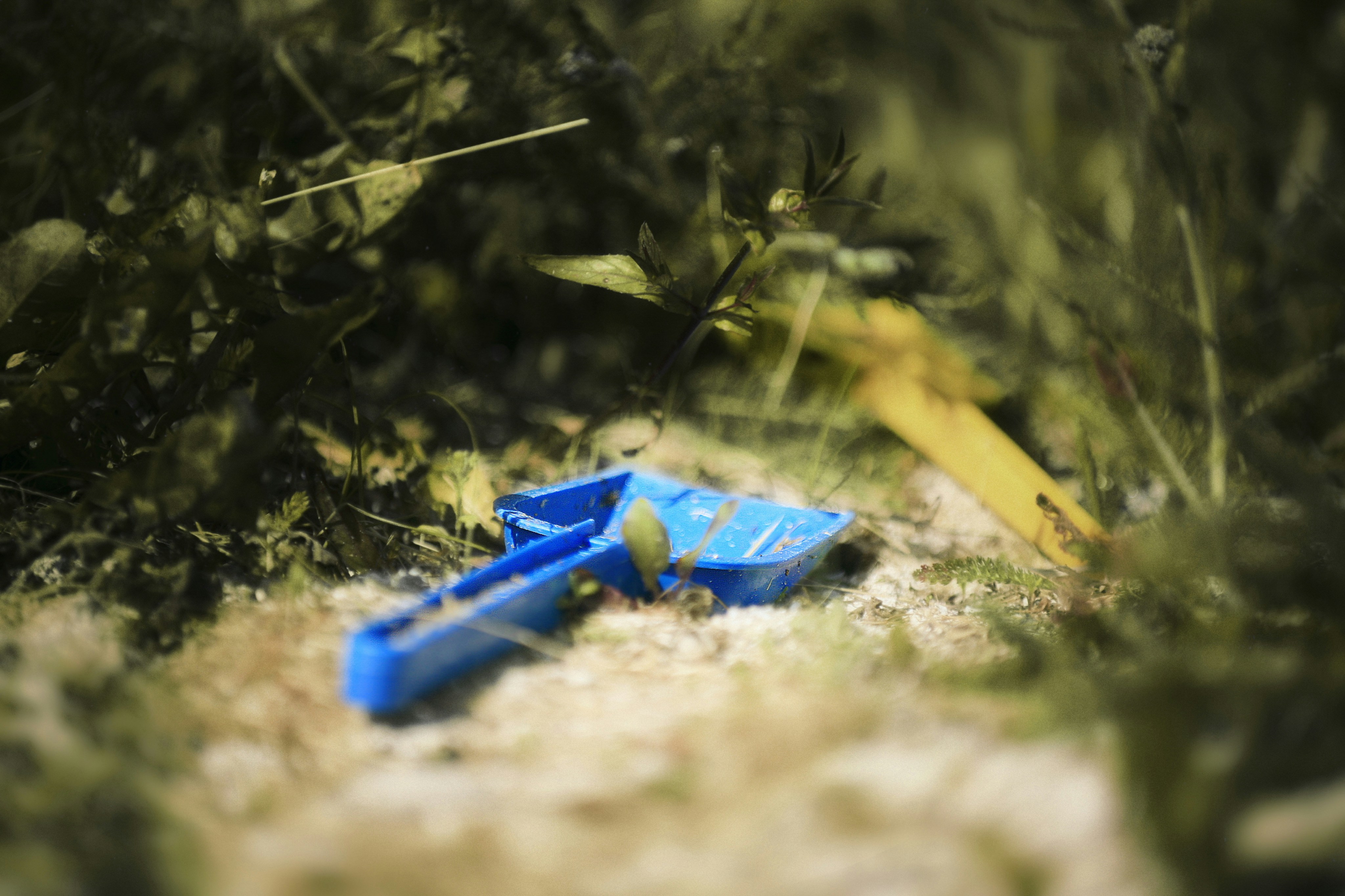 A blue object laying on the ground in the grass photo – Free Forgotten ...