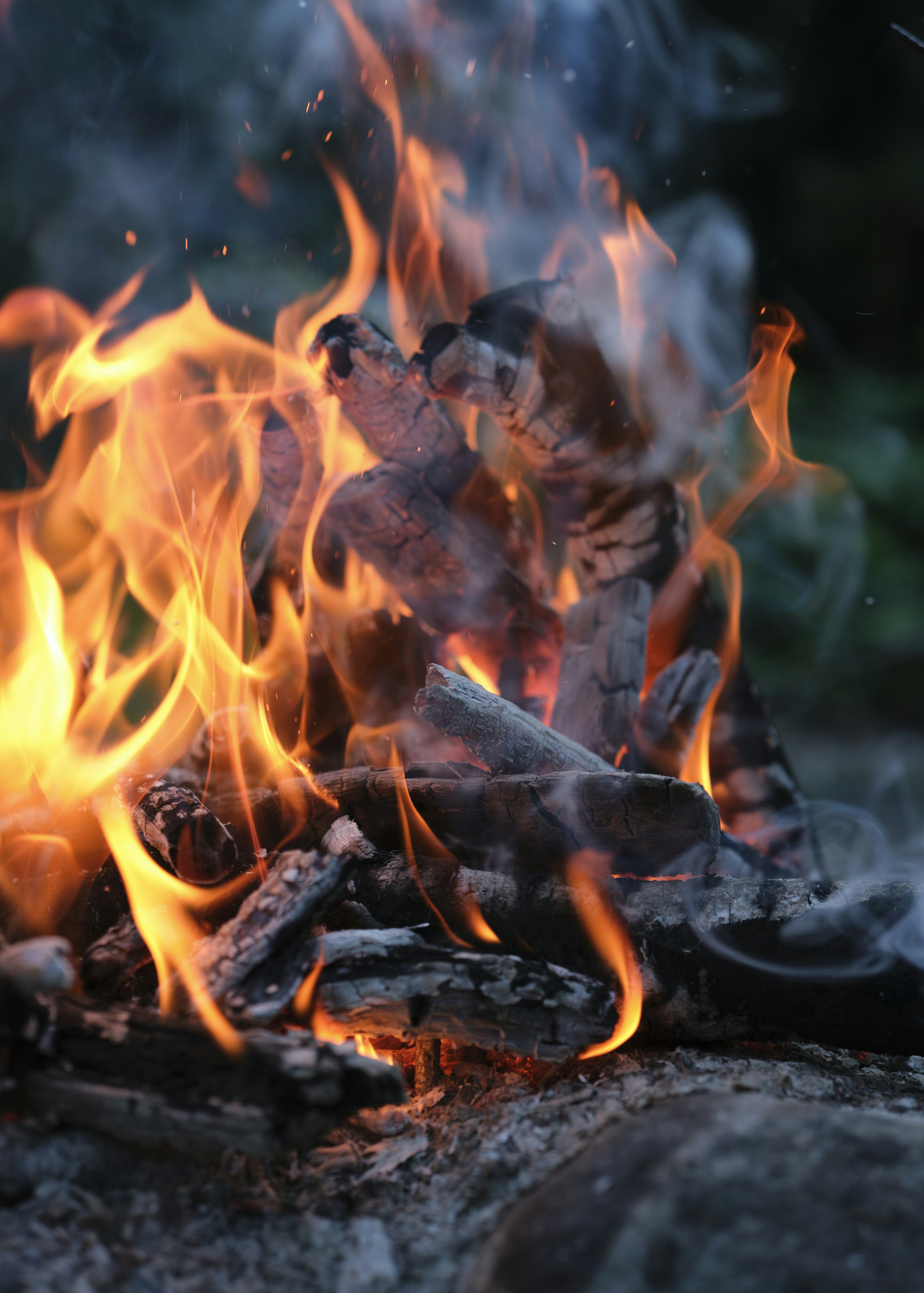 Photo by victor_vector