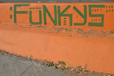 Graffiti on a concrete surface with the word 'FUN' painted in green over an orange background. The paint is applied in a bold, stylized font. The backdrop includes scattered dry leaves and a hint of a paved walkway.