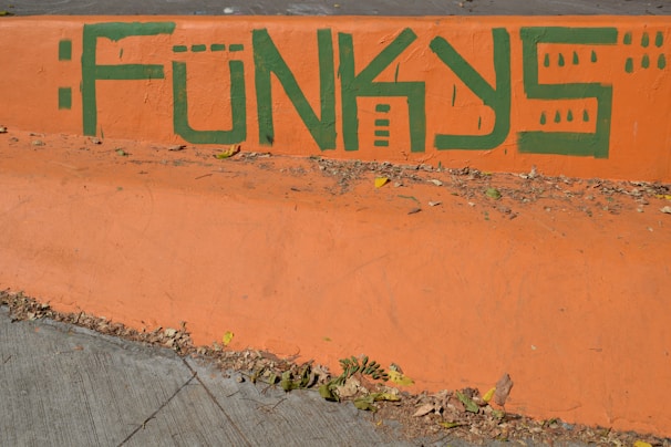 Graffiti on a concrete surface with the word 'FUN' painted in green over an orange background. The paint is applied in a bold, stylized font. The backdrop includes scattered dry leaves and a hint of a paved walkway.