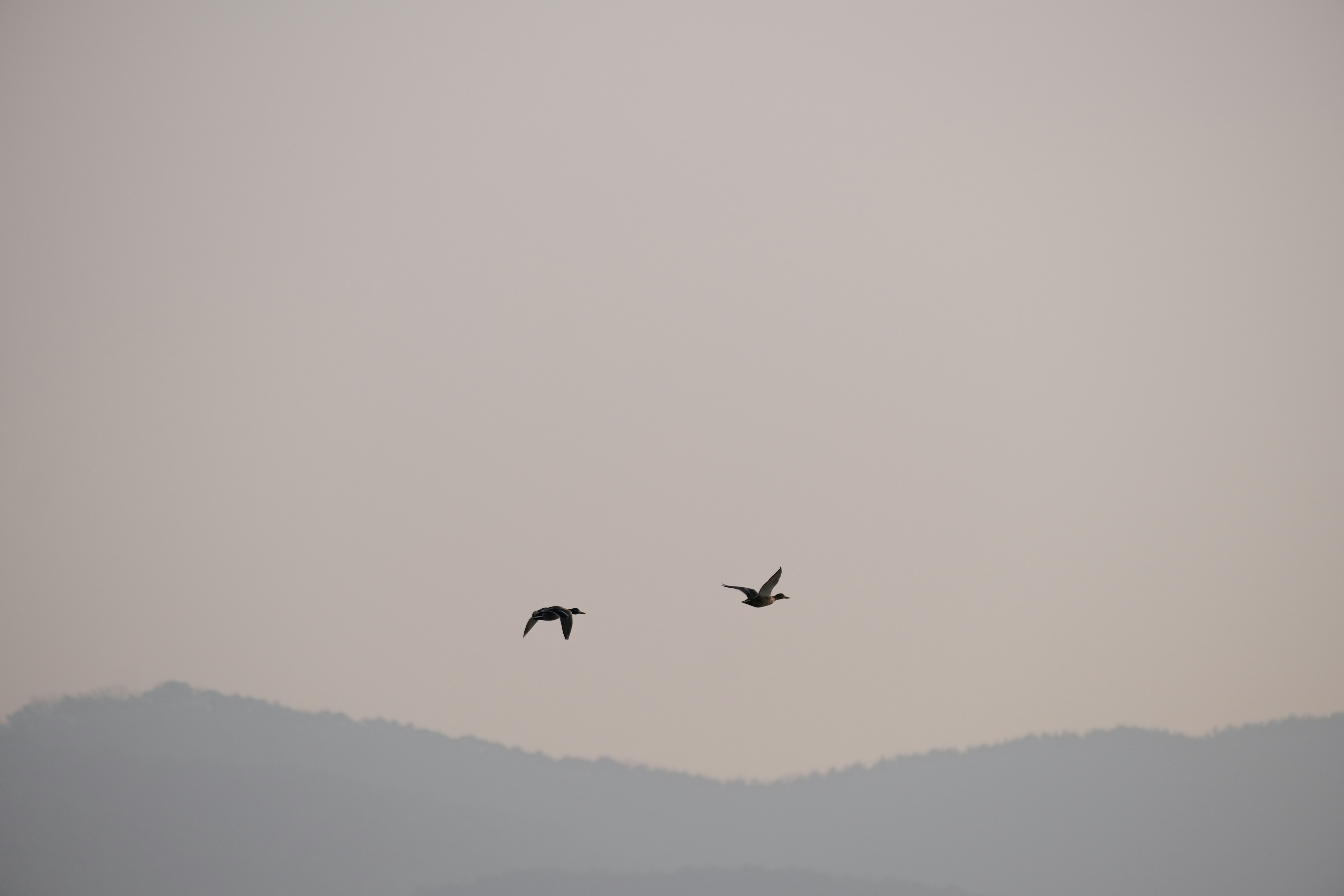 Photo by jogangyeonn